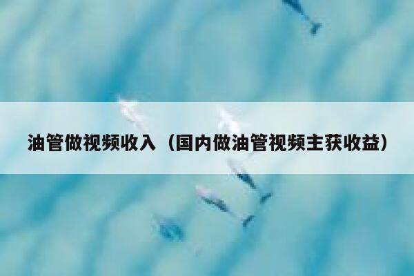 油管做视频收入（国内做油管视频主获收益） 第1张