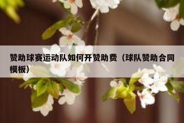 赞助球赛运动队如何开赞助费（球队赞助合同模板） 第1张