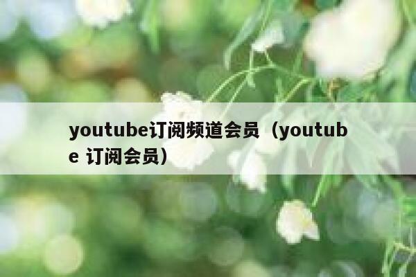 youtube订阅频道会员（youtube 订阅会员） 第1张