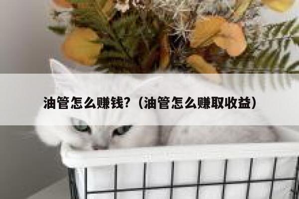 油管怎么赚钱?（油管怎么赚取收益） 第1张