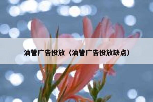 油管广告投放（油管广告投放缺点） 第1张