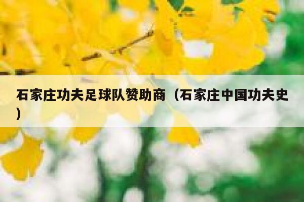 石家庄功夫足球队赞助商（石家庄中国功夫史） 第1张