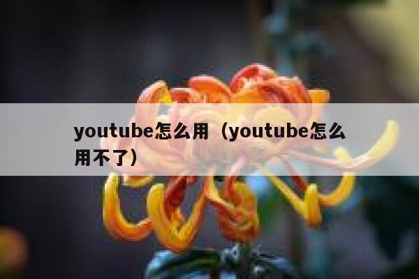 youtube怎么用（youtube怎么用不了） 第1张