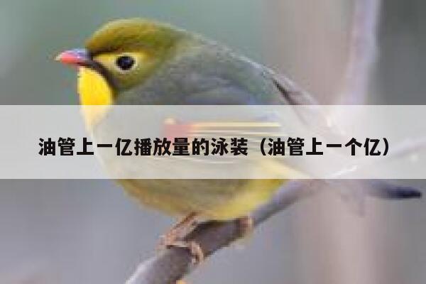 油管上一亿播放量的泳装(油管上一个亿) 第1张 油管上一亿播放量的泳装(油管上一个亿) 第1张