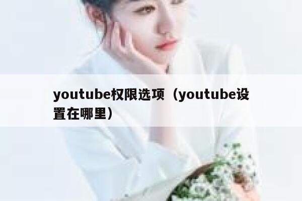 youtube权限选项(youtube设置在哪里) 第1张 youtube权限选项(youtube设置在哪里) 第1张