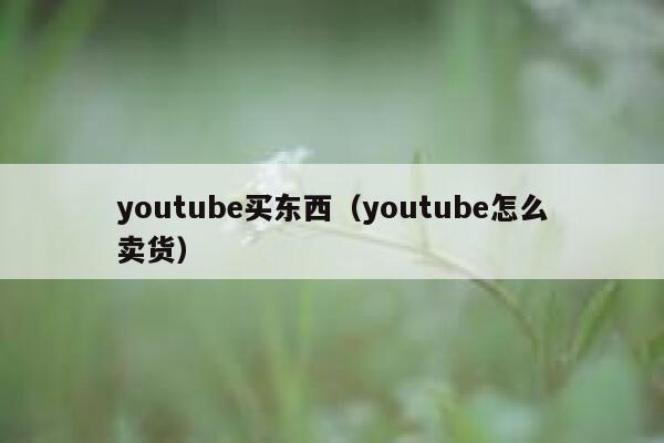 youtube买东西（youtube怎么卖货） 第1张
