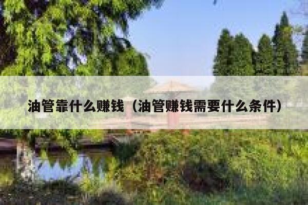 油管靠什么赚钱（油管赚钱需要什么条件） 第1张