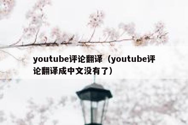 youtube评论翻译（youtube评论翻译成中文没有了） 第1张