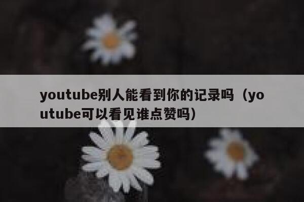youtube别人能看到你的记录吗（youtube可以看见谁点赞吗） 第1张