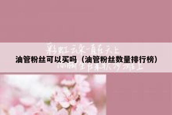 油管粉丝可以买吗（油管粉丝数量排行榜） 第1张