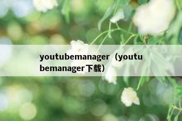 youtubemanager（youtubemanager下载） 第1张