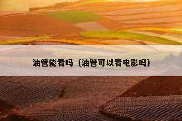 油管能看吗（油管可以看电影吗） 第1张