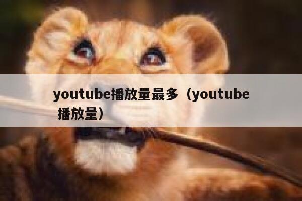 youtube播放量最多（youtube 播放量） 第1张