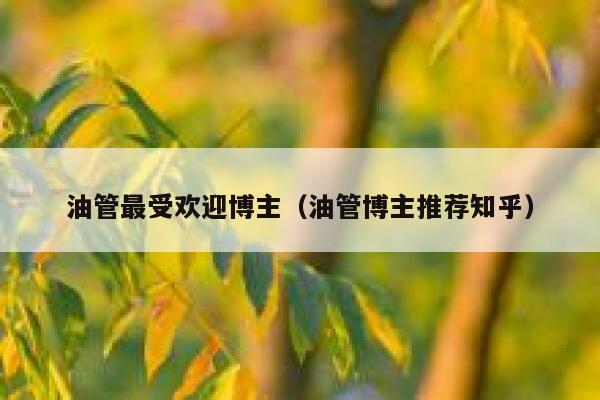 油管最受欢迎博主（油管博主推荐知乎） 第1张