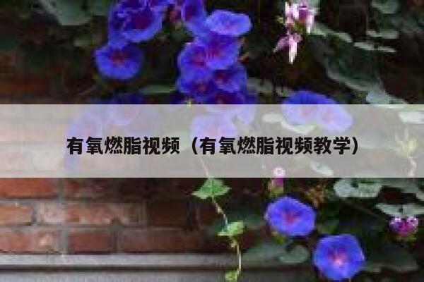 有氧燃脂视频（有氧燃脂视频教学） 第1张