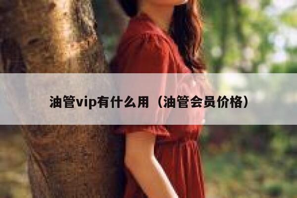 油管vip有什么用（油管会员价格） 第1张