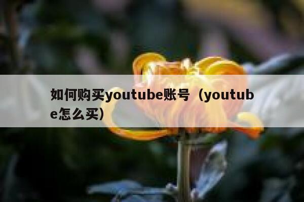 如何购买youtube账号（youtube怎么买） 第1张