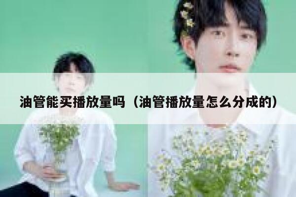 油管能买播放量吗（油管播放量怎么分成的） 第1张