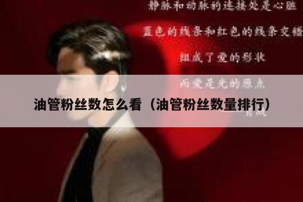 油管粉丝数怎么看（油管粉丝数量排行） 第1张