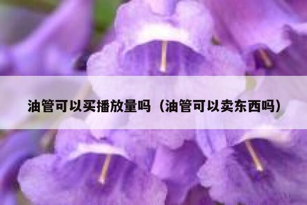油管可以买播放量吗（油管可以卖东西吗） 第1张