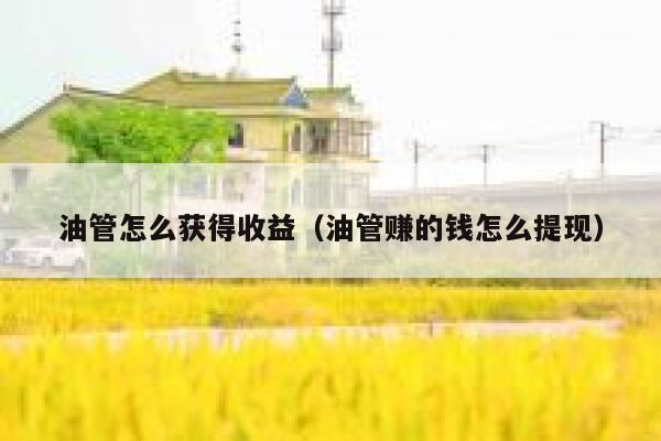 油管怎么获得收益（油管赚的钱怎么提现） 第1张
