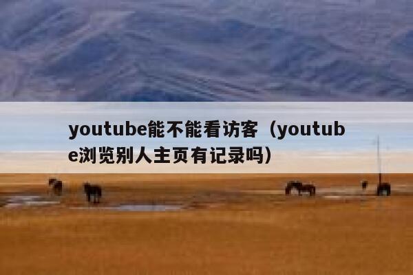 youtube能不能看访客（youtube浏览别人主页有记录吗） 第1张