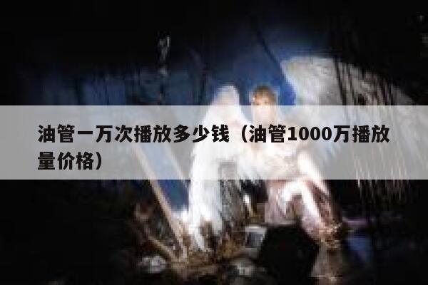 油管一万次播放多少钱（油管1000万播放量价格） 第1张