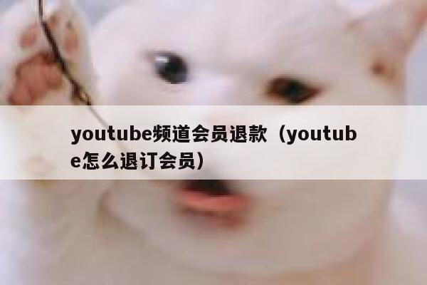 youtube频道会员退款（youtube怎么退订会员） 第1张