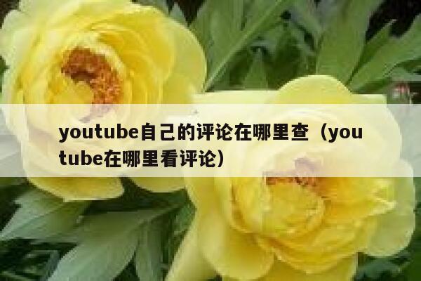 youtube自己的评论在哪里查（youtube在哪里看评论） 第1张