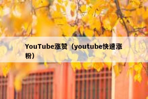 YouTube涨赞（youtube快速涨粉） 第1张