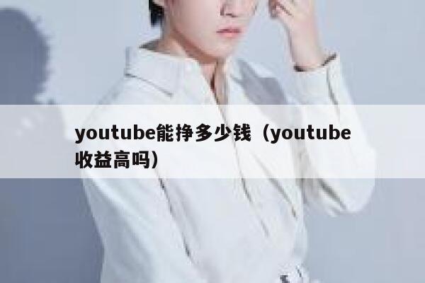 youtube能挣多少钱（youtube收益高吗） 第1张
