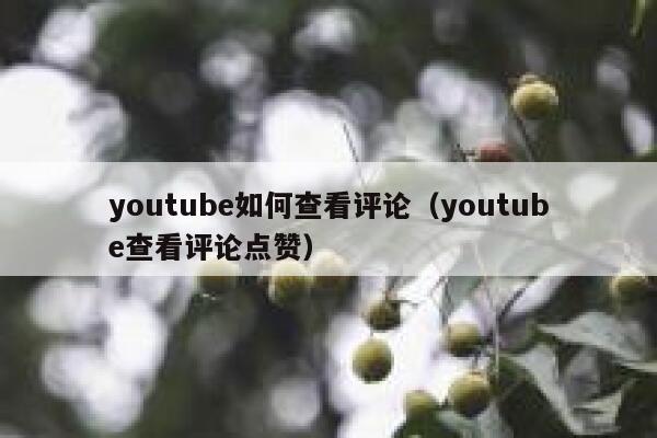 youtube如何查看评论（youtube查看评论点赞） 第1张