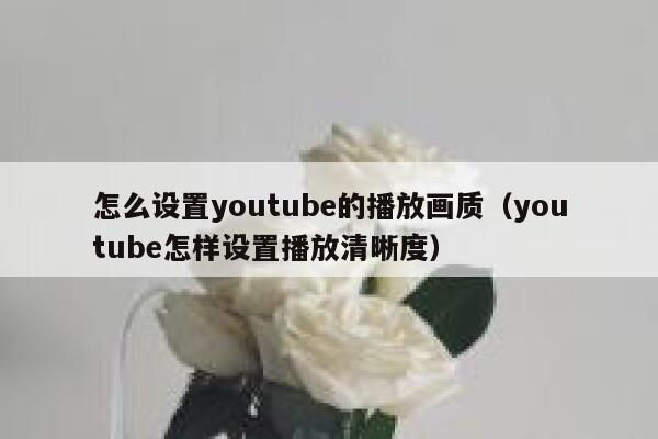 怎么设置youtube的播放画质（youtube怎样设置播放清晰度） 第1张
