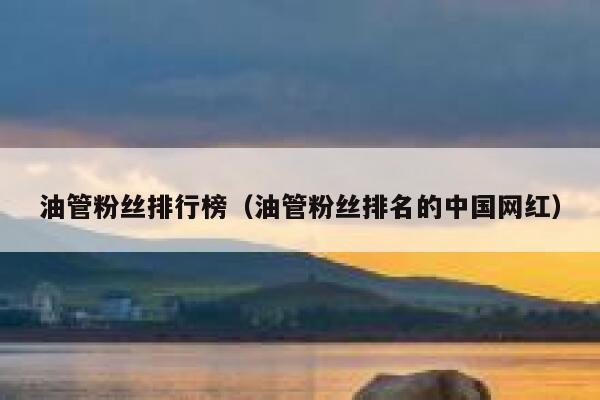 油管粉丝排行榜（油管粉丝排名的中国网红） 第1张