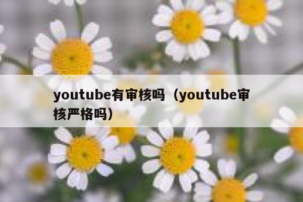 youtube有审核吗（youtube审核严格吗） 第1张