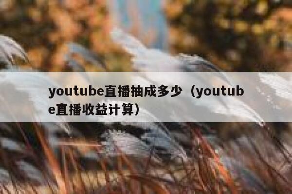 youtube直播抽成多少（youtube直播收益计算） 第1张
