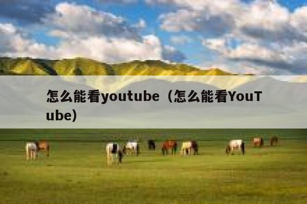 怎么能看youtube（怎么能看YouTube） 第1张