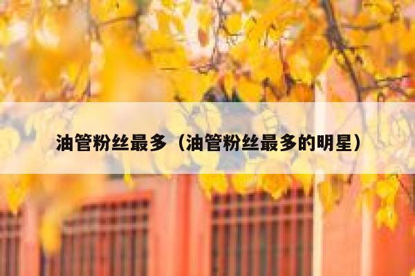 油管粉丝最多（油管粉丝最多的明星） 第1张