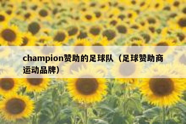 champion赞助的足球队（足球赞助商运动品牌） 第1张