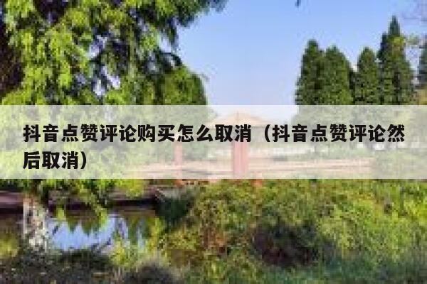 抖音点赞评论购买怎么取消（抖音点赞评论然后取消） 第1张