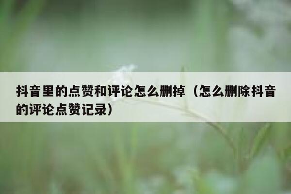 抖音里的点赞和评论怎么删掉（怎么删除抖音的评论点赞记录） 第1张