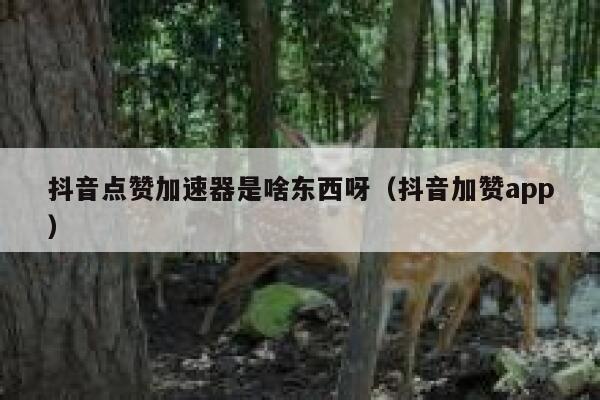 抖音点赞加速器是啥东西呀（抖音加赞app） 第1张