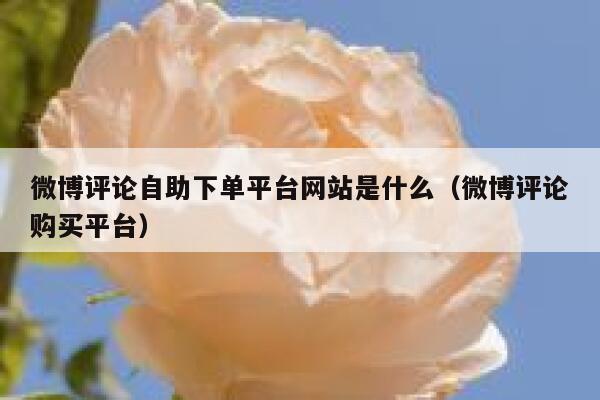 微博评论自助下单平台网站是什么（微博评论购买平台） 第1张