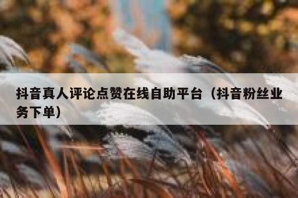 抖音真人评论点赞在线自助平台（抖音粉丝业务下单） 第1张