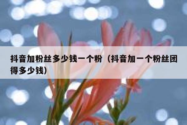 抖音加粉丝多少钱一个粉（抖音加一个粉丝团得多少钱） 第1张
