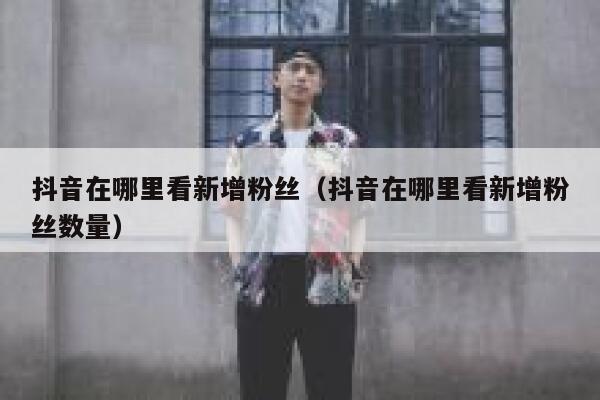 抖音在哪里看新增粉丝（抖音在哪里看新增粉丝数量） 第1张