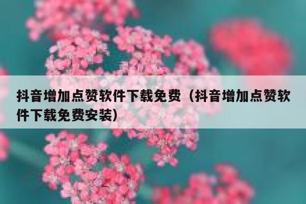 抖音增加点赞软件下载免费（抖音增加点赞软件下载免费安装） 第1张