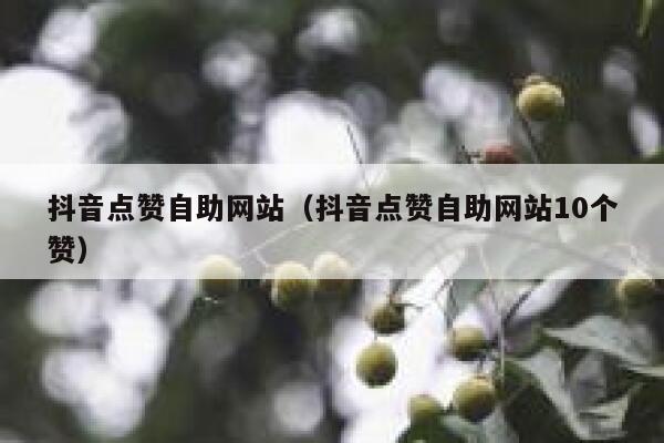 抖音点赞自助网站（抖音点赞自助网站10个赞） 第1张