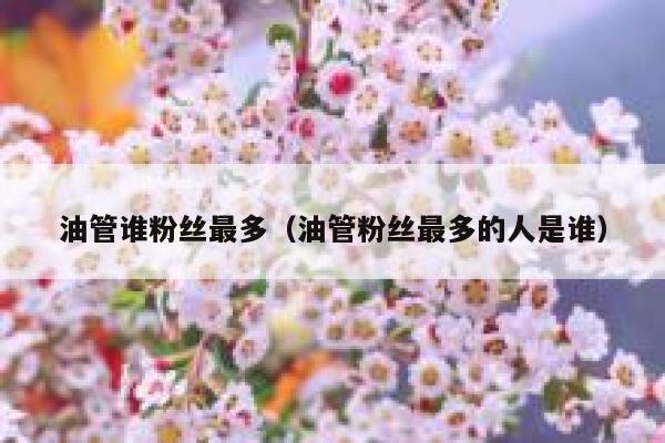 油管谁粉丝最多（油管粉丝最多的人是谁） 第1张