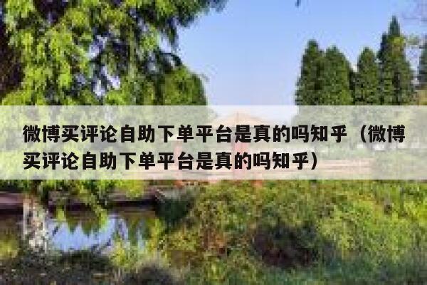 微博买评论自助下单平台是真的吗知乎（微博买评论自助下单平台是真的吗知乎） 第1张